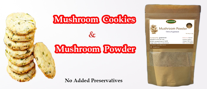 Purchase Mashroom Cookies & Mashroom Powder Online
