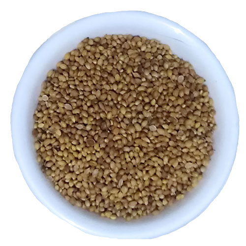 Dhania / Coriander Seeds