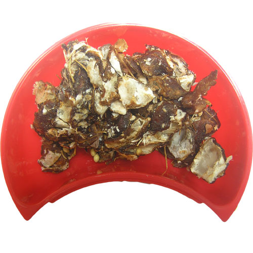 Tamarind Best - Deseeded