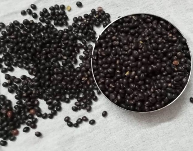 Kappu Togari - Black Dal