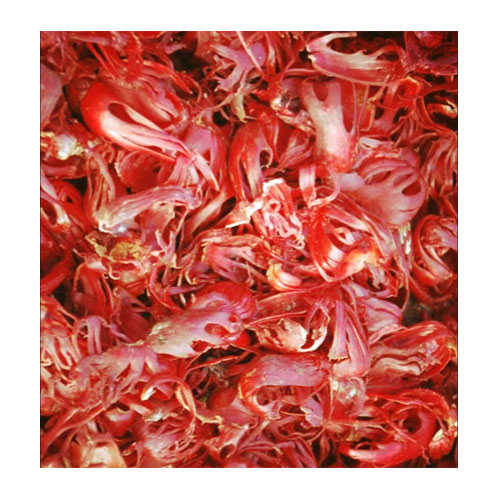 Nutmeg Mace / Javintri