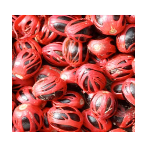 Nutmeg Mace - Javintri