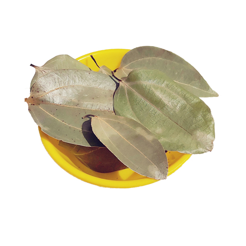 Cinnamon leaves - Dalchini leaves