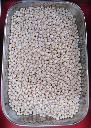 Urad Dal Whole - Black Gram Dal