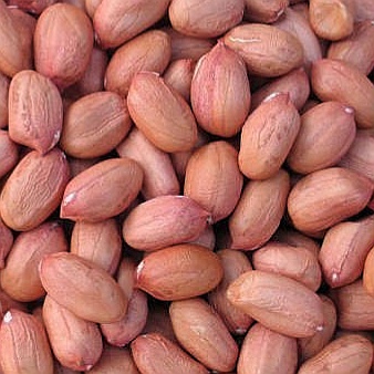 Ground Nut / Peanut / Shenga - Raw