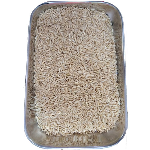 Brown Rice