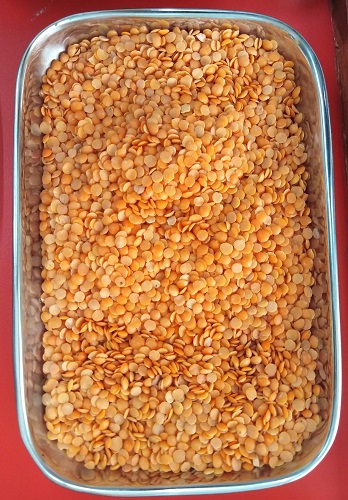 Masoor Dal