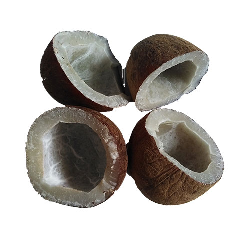 Kobri / Copra / Dry Coconut